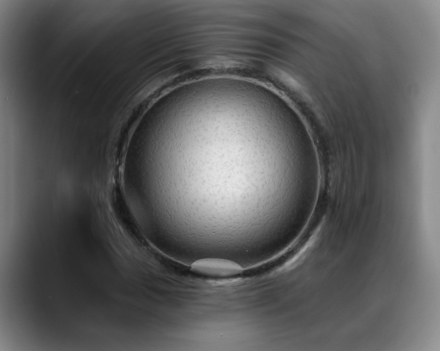 X0000088861017200706151732