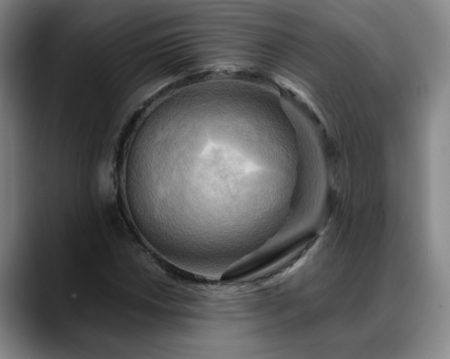 X0000088861018200706151732