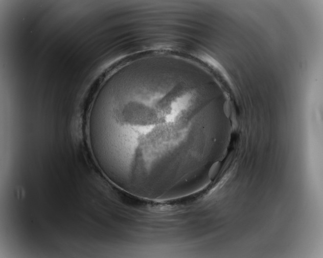 X0000088861019200706151732