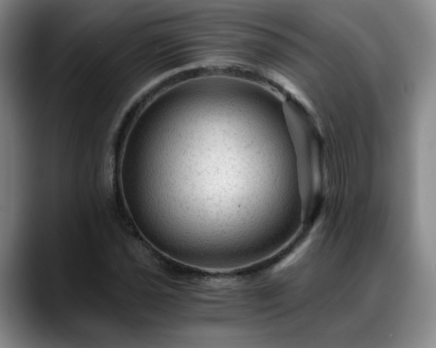 X0000088861021200706151732