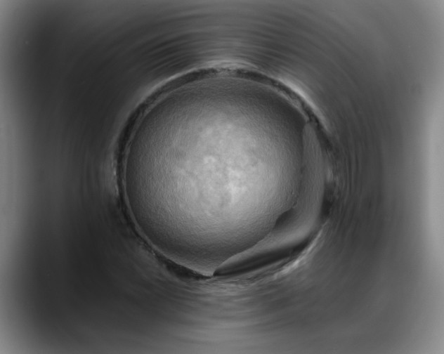 X0000088861022200706151732