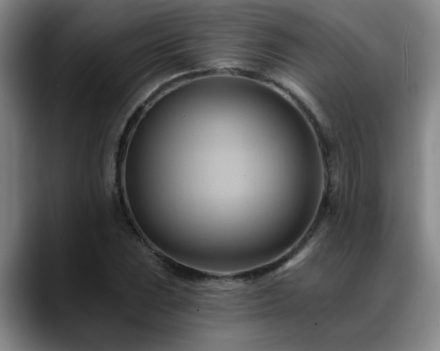 X0000088861023200706151732