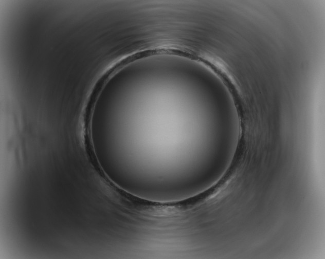 X0000088861024200706151732