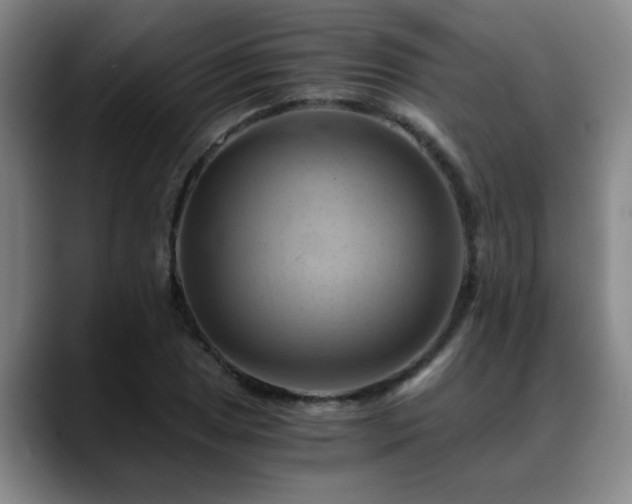 X0000088861025200706151732