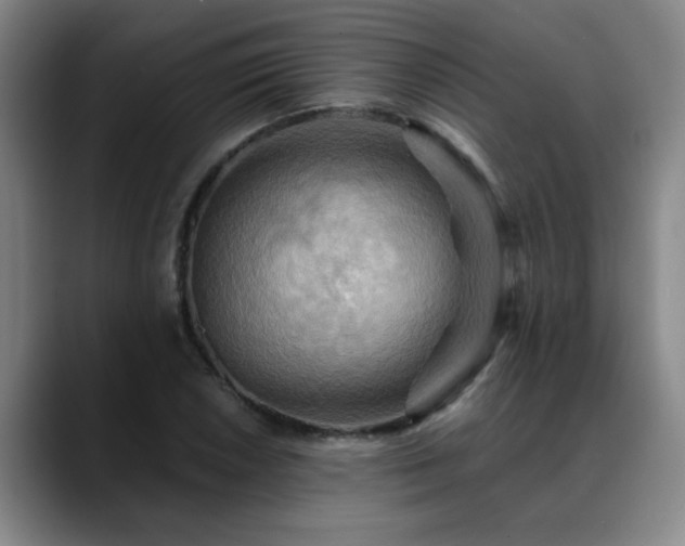 X0000088861026200706151732