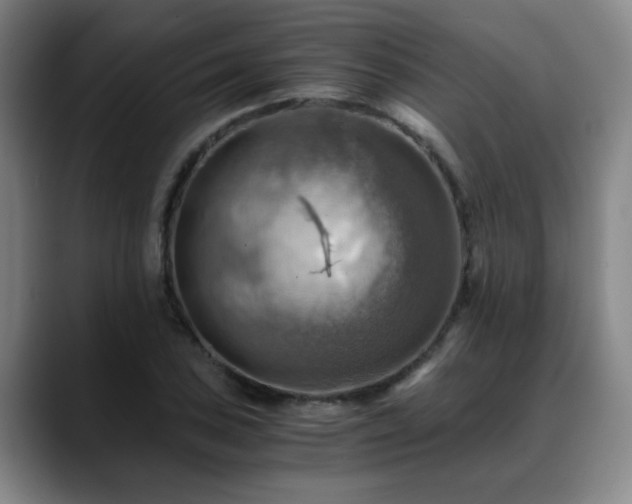 X0000088861027200706151732
