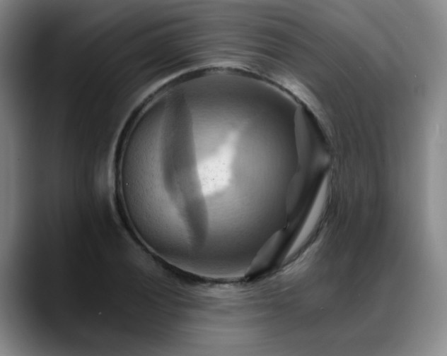 X0000088861028200706151732