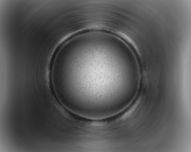 X0000088861029200706151732