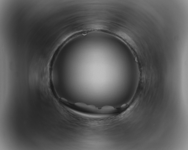 X0000088861031200706151732