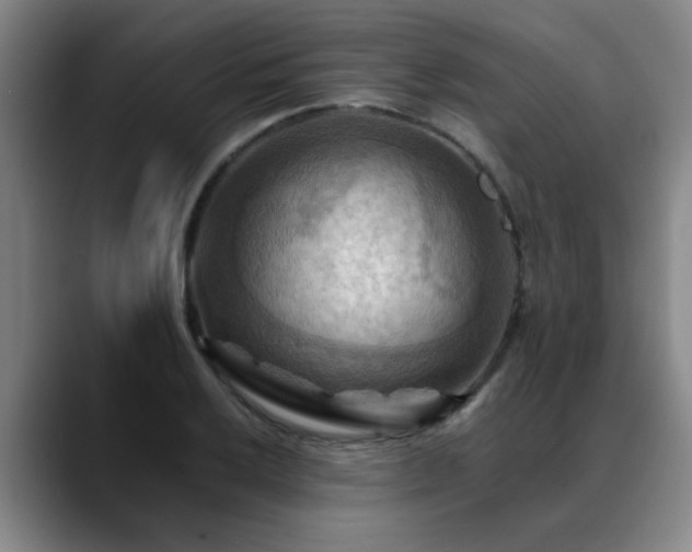 X0000088861032200706151732