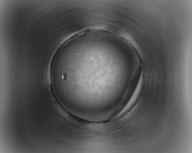 X0000088861036200706151732