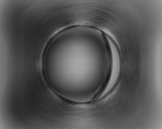 X0000088861037200706151732