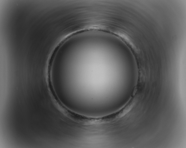 X0000088861038200706151732