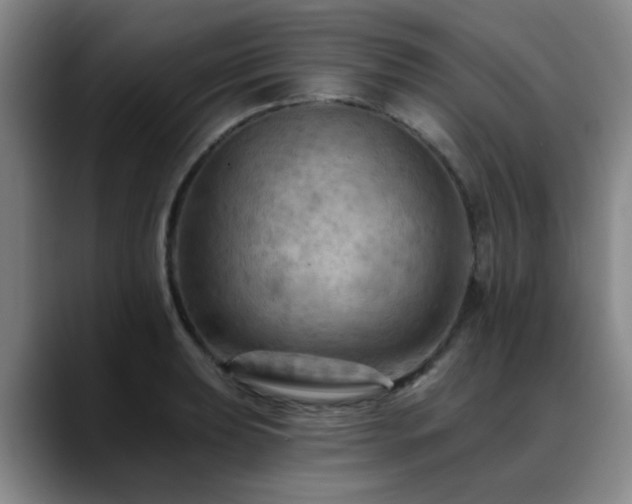 X0000088861039200706151732