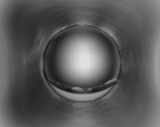 X0000088861040200706151732