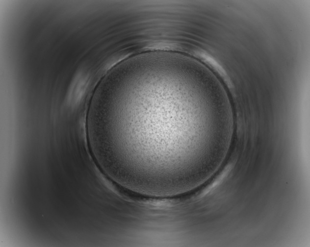 X0000088861041200706151732