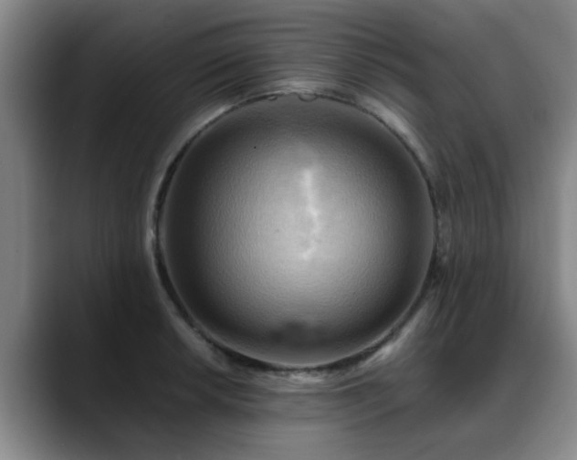 X0000088861042200706151732