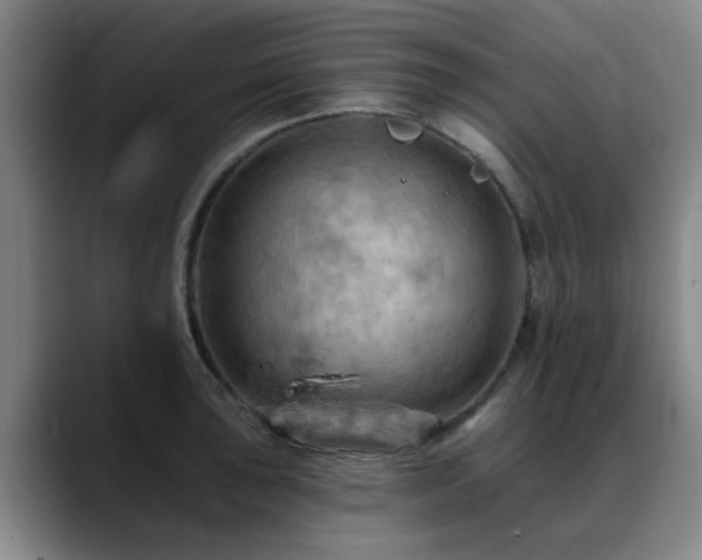 X0000088861043200706151732