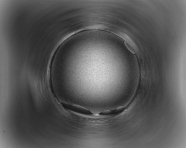 X0000088861044200706151732