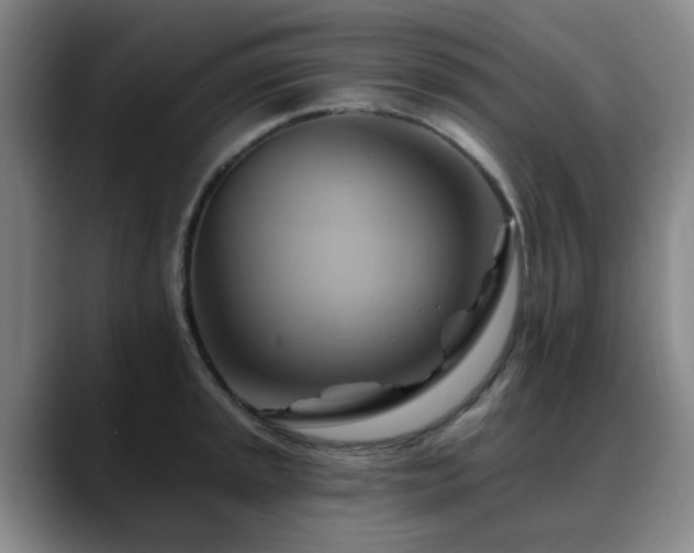X0000088861045200706151732