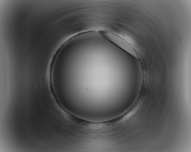 X0000088861046200706151732