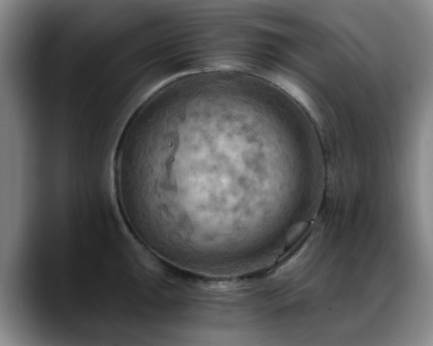 X0000088861047200706151732