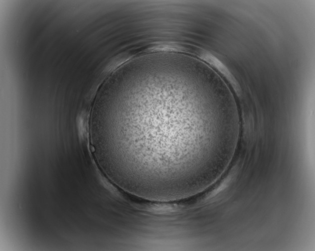 X0000088861049200706151732