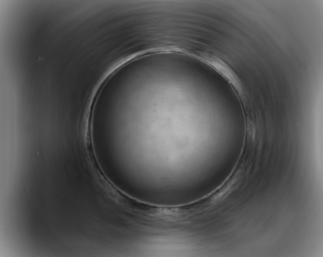 X0000088861052200706151732