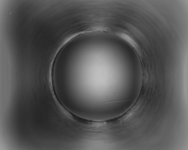 X0000088861055200706151732