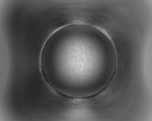X0000088861056200706151732