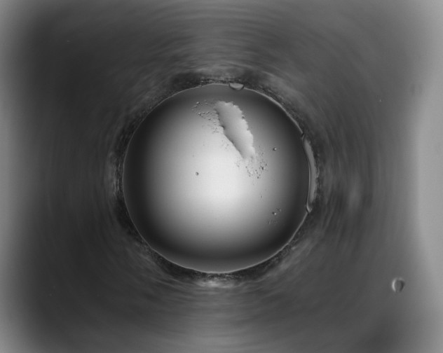 X0000088861058200706151732