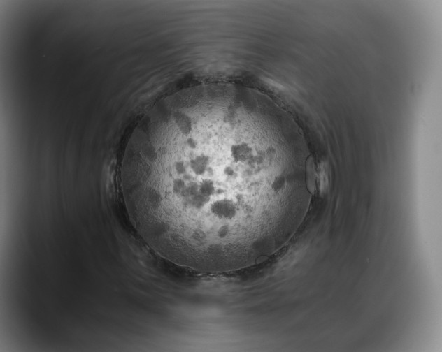 X0000088861059200706151732