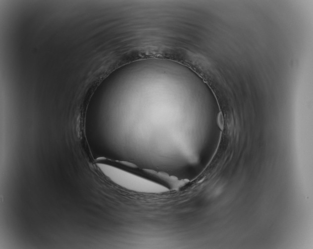 X0000088861060200706151732