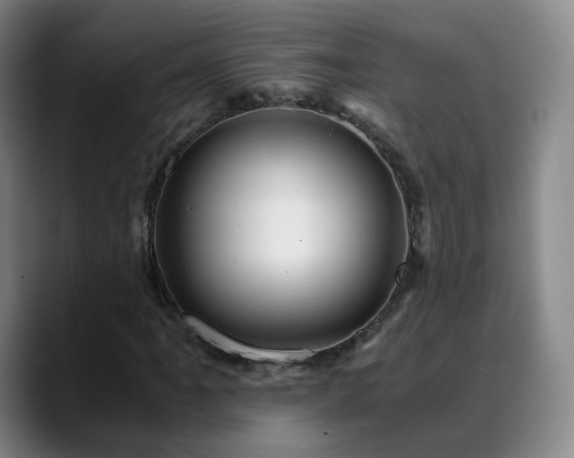 X0000088861061200706151732