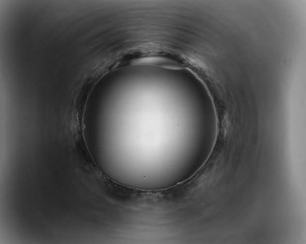 X0000088861062200706151732