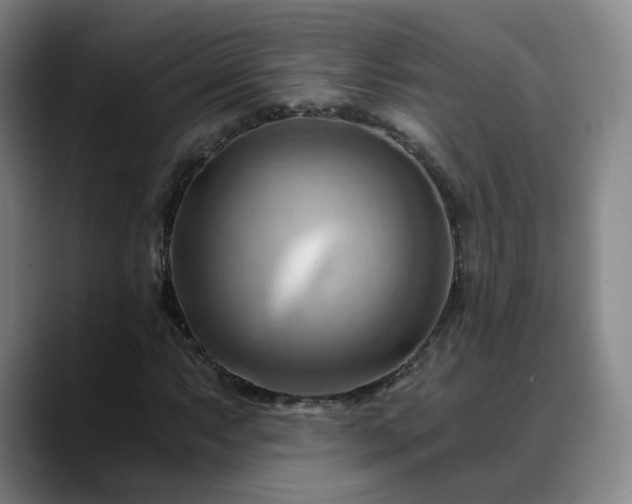 X0000088861063200706151731