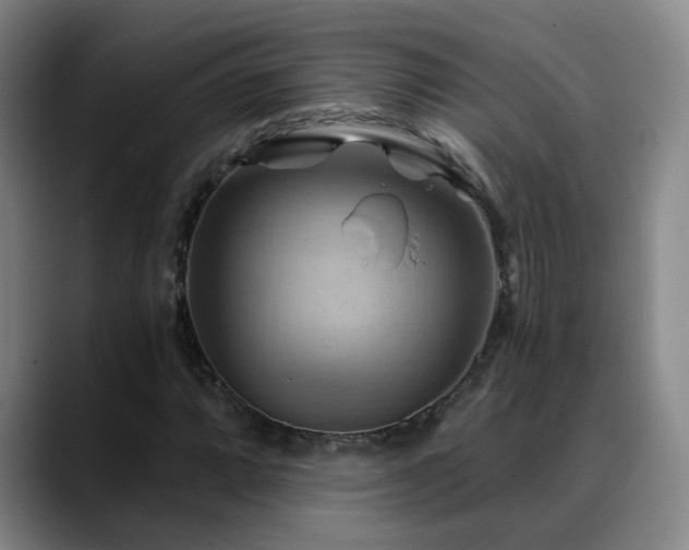 X0000088861064200706151731
