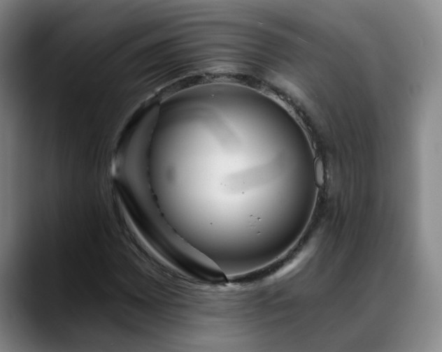 X0000088861065200706151731