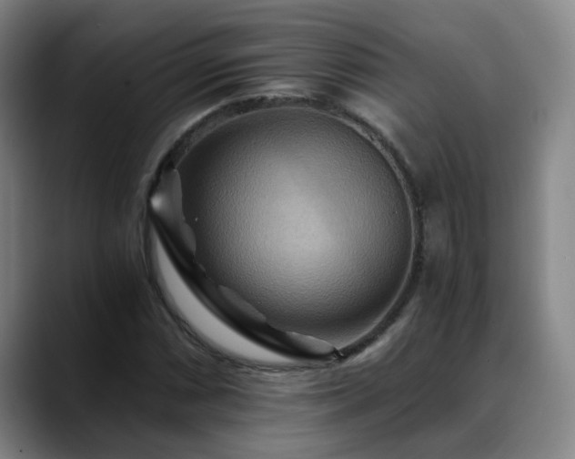 X0000088861066200706151731
