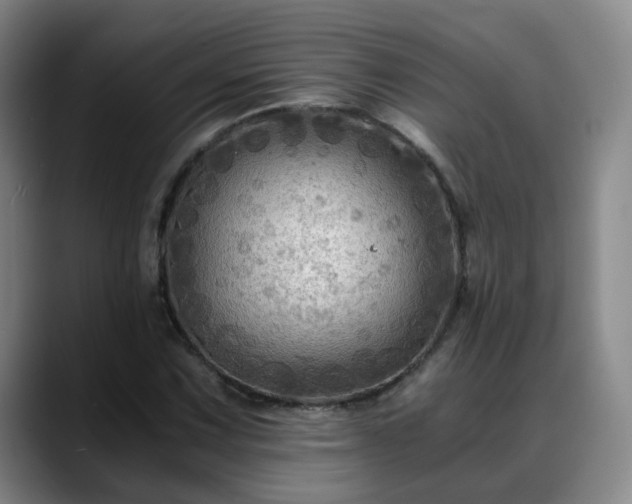 X0000088861067200706151731