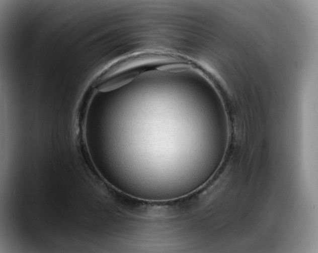 X0000088861070200706151731
