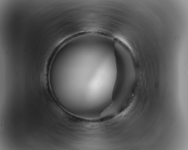 X0000088861071200706151731