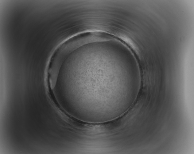 X0000088861072200706151731