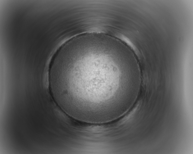 X0000088861075200706151731