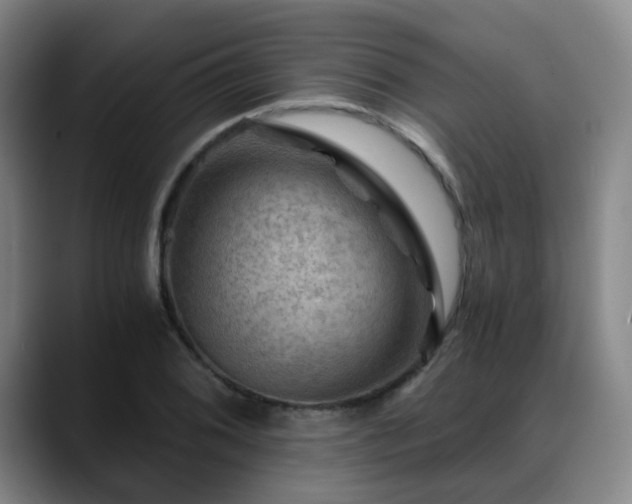 X0000088861076200706151731