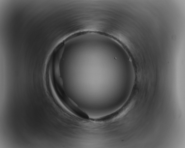 X0000088861077200706151731