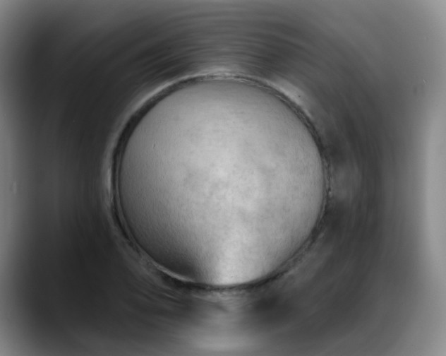 X0000088861078200706151731