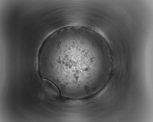 X0000088861079200706151731