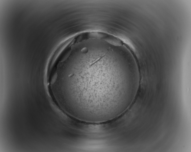 X0000088861080200706151731