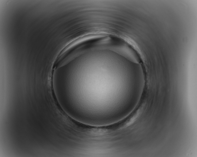 X0000088861081200706151731